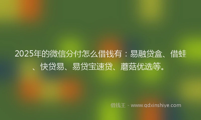 2025年的微信分付怎么借钱有：易融贷盒、借蛙、快贷易、易贷宝速贷、蘑菇优选等。