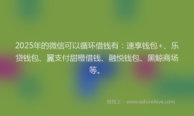2025年的微信可以循环借钱有：速享钱包+、乐贷钱包、翼支付甜橙借钱、融悦钱包、黑鲸商场等。