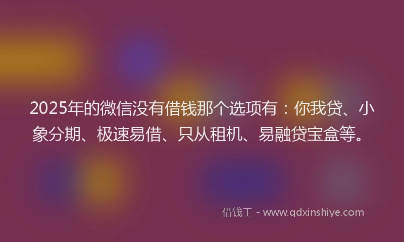 2025年的微信没有借钱那个选项有：你我贷、小象分期、极速易借、只从租机、易融贷宝盒等。
