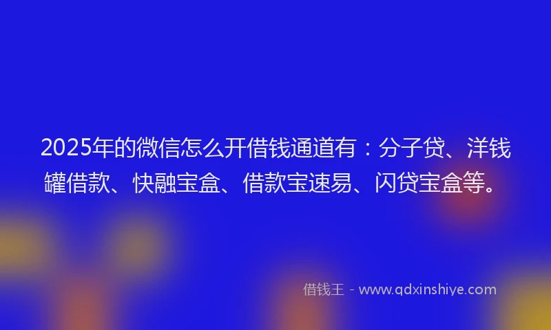 2025年的微信怎么开借钱通道有：分子贷、洋钱罐借款、快融宝盒、借款宝速易、闪贷宝盒等。