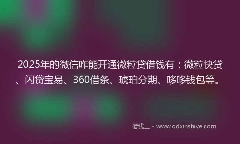2025年的微信咋能开通微粒贷借钱有：微粒快贷、闪贷宝易、360借条、琥珀分期、哆哆钱包等。