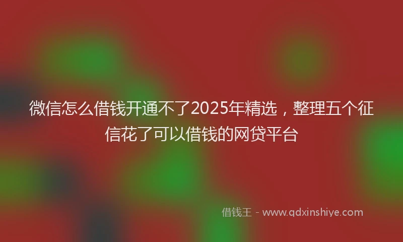 微信怎么借钱开通不了2025年精选，整理五个征信花了可以借钱的网贷平台