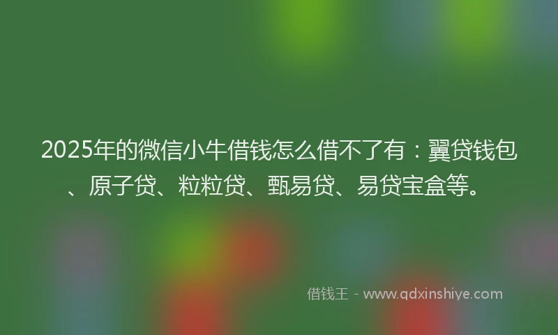 2025年的微信小牛借钱怎么借不了有：翼贷钱包、原子贷、粒粒贷、甄易贷、易贷宝盒等。