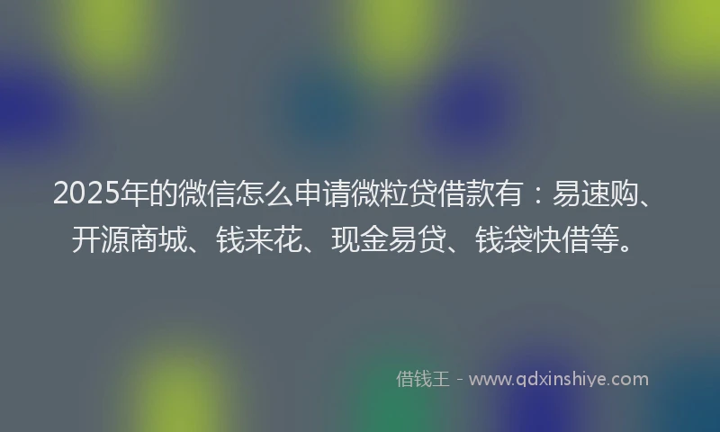 2025年的微信怎么申请微粒贷借款有：易速购、开源商城、钱来花、现金易贷、钱袋快借等。