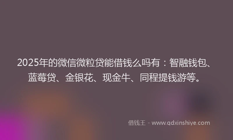 2025年的微信微粒贷能借钱么吗有：智融钱包、蓝莓贷、金银花、现金牛、同程提钱游等。