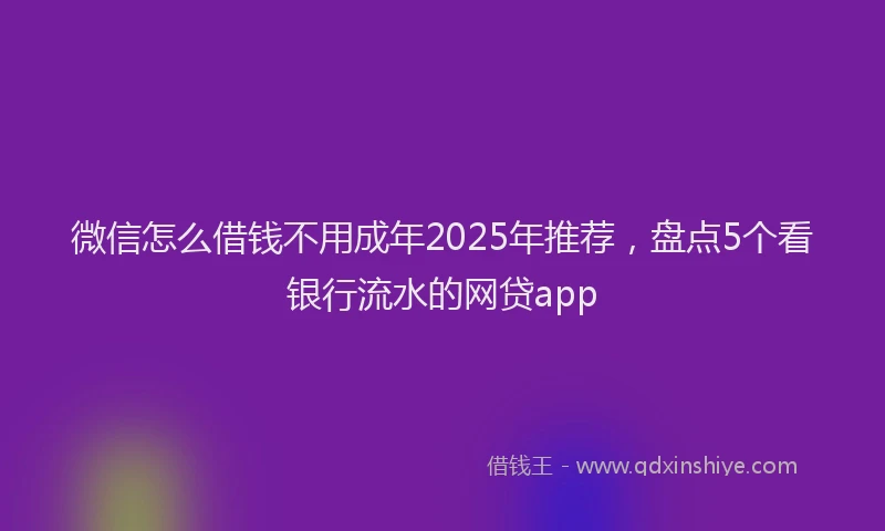 微信怎么借钱不用成年2025年推荐，盘点5个看银行流水的网贷app