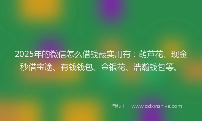 2025年的微信怎么借钱最实用有：葫芦花、现金秒借宝途、有钱钱包、金银花、浩瀚钱包等。