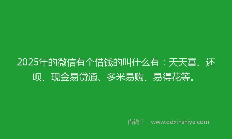 2025年的微信有个借钱的叫什么有：天天富、还呗、现金易贷通、多米易购、易得花等。