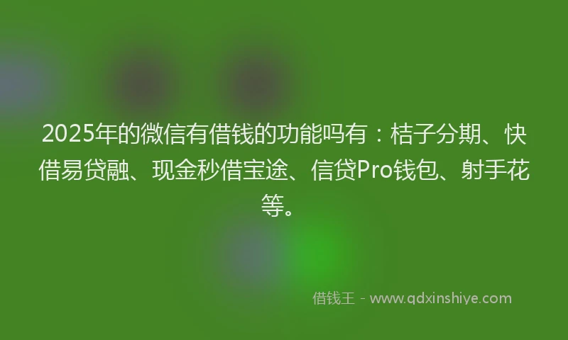 2025年的微信有借钱的功能吗有：桔子分期、快借易贷融、现金秒借宝途、信贷Pro钱包、射手花等。