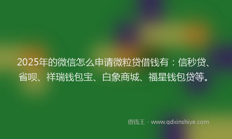 2025年的微信怎么申请微粒贷借钱有：信秒贷、省呗、祥瑞钱包宝、白象商城、福星钱包贷等。