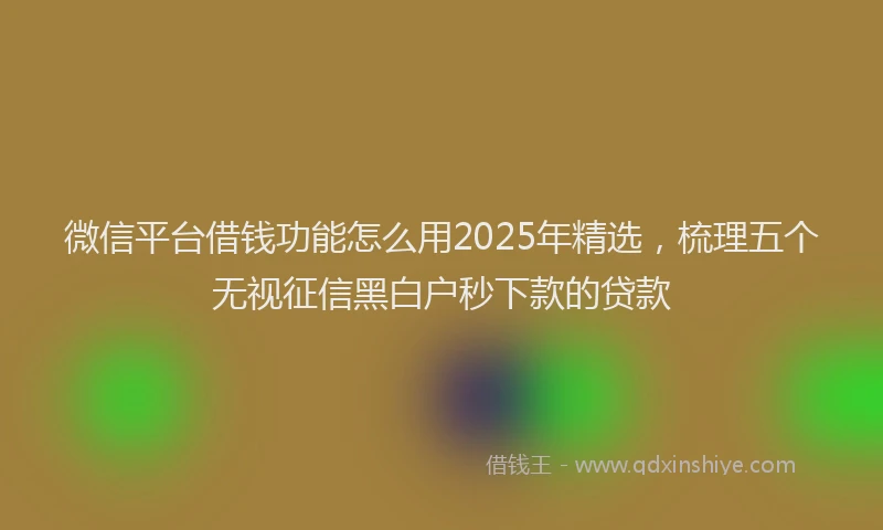 微信平台借钱功能怎么用2025年精选，梳理五个无视征信黑白户秒下款的贷款