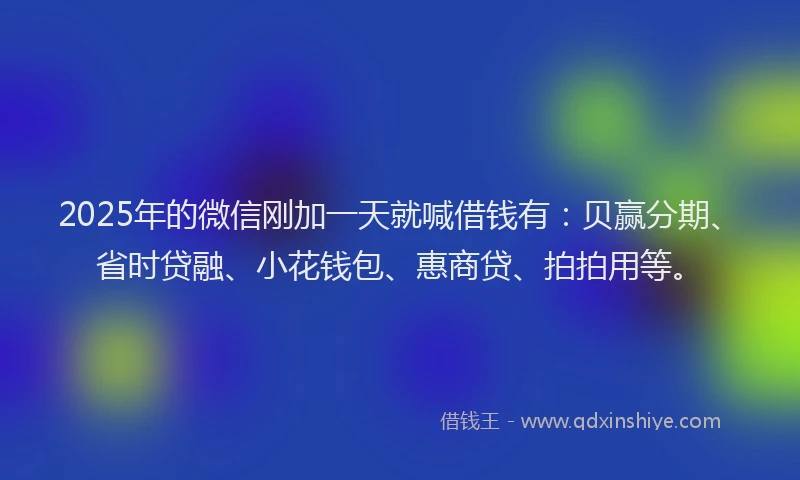 2025年的微信刚加一天就喊借钱有：贝赢分期、省时贷融、小花钱包、惠商贷、拍拍用等。