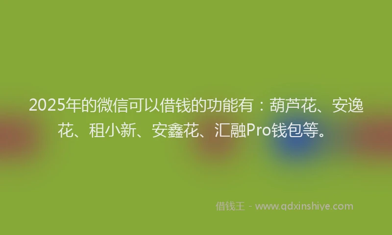 2025年的微信可以借钱的功能有：葫芦花、安逸花、租小新、安鑫花、汇融Pro钱包等。