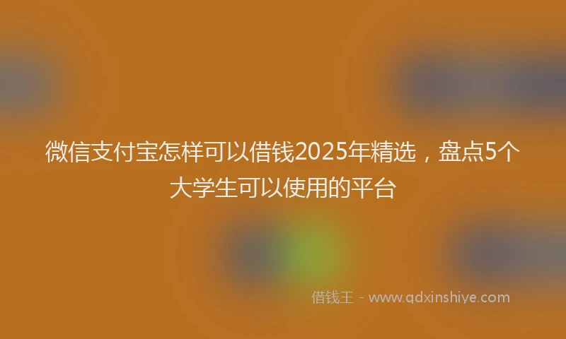 微信支付宝怎样可以借钱2025年精选，盘点5个大学生可以使用的平台