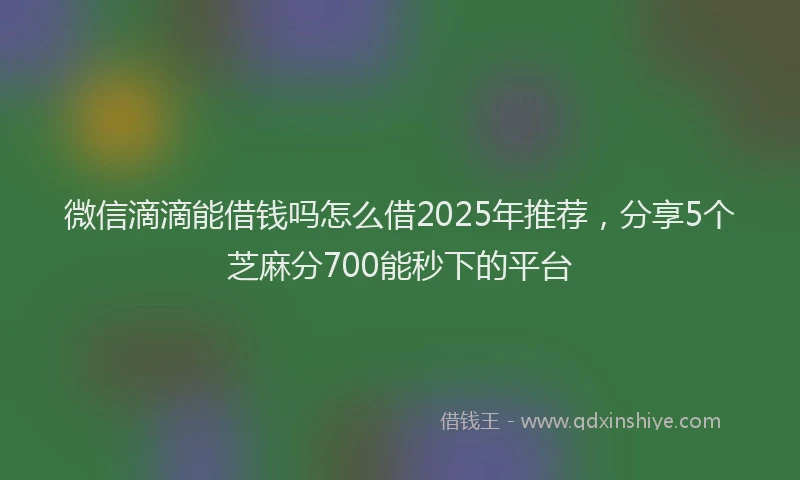 微信滴滴能借钱吗怎么借2025年推荐，分享5个芝麻分700能秒下的平台