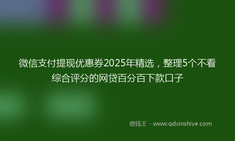 微信支付提现优惠券2025年精选，整理5个不看综合评分的网贷百分百下款口子