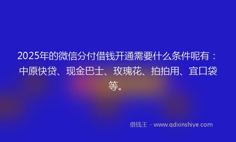 2025年的微信分付借钱开通需要什么条件呢有：中原快贷、现金巴士、玫瑰花、拍拍用、宜口袋等。