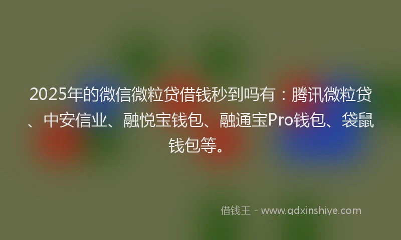 2025年的微信微粒贷借钱秒到吗有：腾讯微粒贷、中安信业、融悦宝钱包、融通宝Pro钱包、袋鼠钱包等。