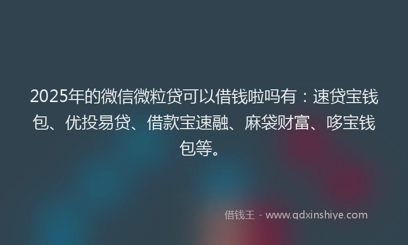 2025年的微信微粒贷可以借钱啦吗有：速贷宝钱包、优投易贷、借款宝速融、麻袋财富、哆宝钱包等。