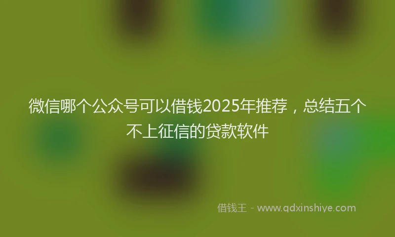 微信哪个公众号可以借钱2025年推荐，总结五个不上征信的贷款软件