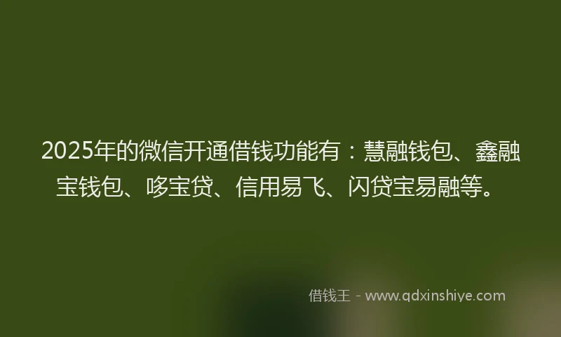 2025年的微信开通借钱功能有：慧融钱包、鑫融宝钱包、哆宝贷、信用易飞、闪贷宝易融等。