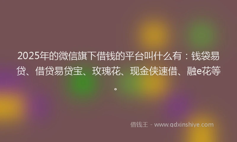 2025年的微信旗下借钱的平台叫什么有：钱袋易贷、借贷易贷宝、玫瑰花、现金侠速借、融e花等。