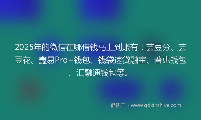 2025年的微信在哪借钱马上到账有：芸豆分、芸豆花、鑫易Pro+钱包、钱袋速贷融宝、普惠钱包、汇融通钱包等。