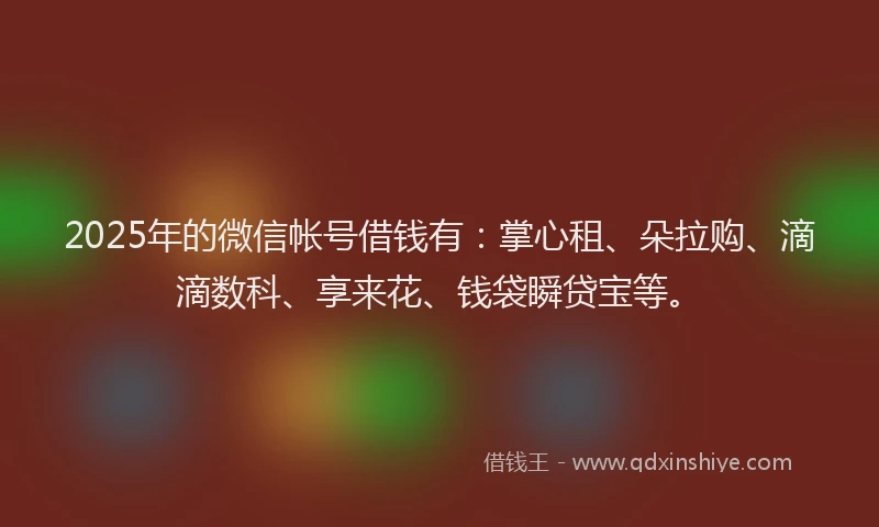 2025年的微信帐号借钱有：掌心租、朵拉购、滴滴数科、享来花、钱袋瞬贷宝等。