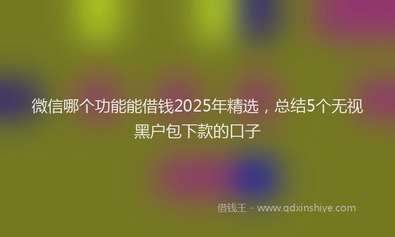 微信哪个功能能借钱2025年精选，总结5个无视黑户包下款的口子