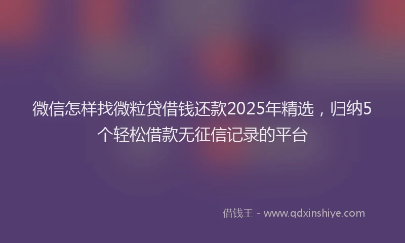 微信怎样找微粒贷借钱还款2025年精选，归纳5个轻松借款无征信记录的平台