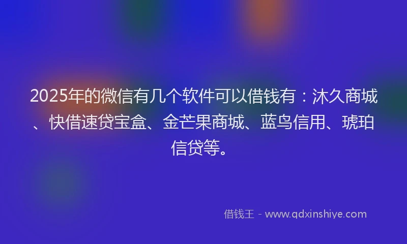 2025年的微信有几个软件可以借钱有：沐久商城、快借速贷宝盒、金芒果商城、蓝鸟信用、琥珀信贷等。