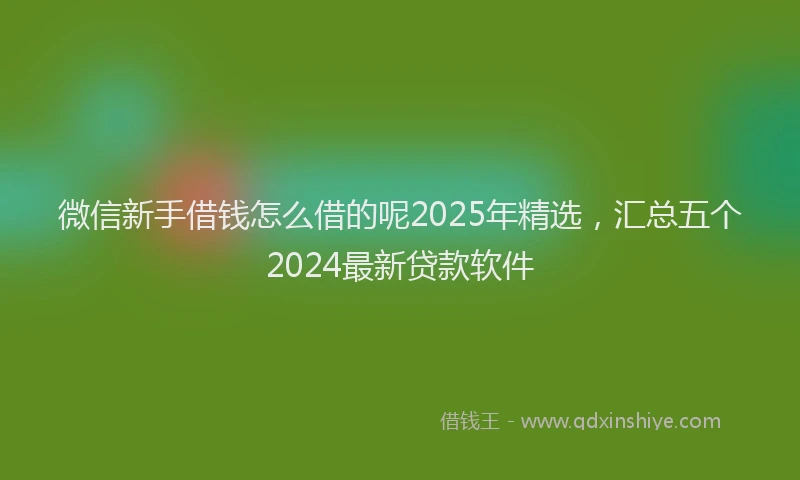 微信新手借钱怎么借的呢2025年精选，汇总五个2024最新贷款软件