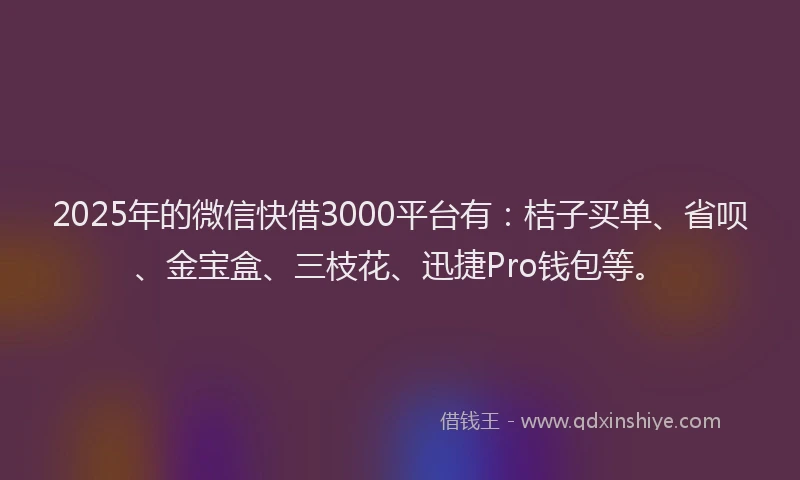2025年的微信快借3000平台有：桔子买单、省呗、金宝盒、三枝花、迅捷Pro钱包等。