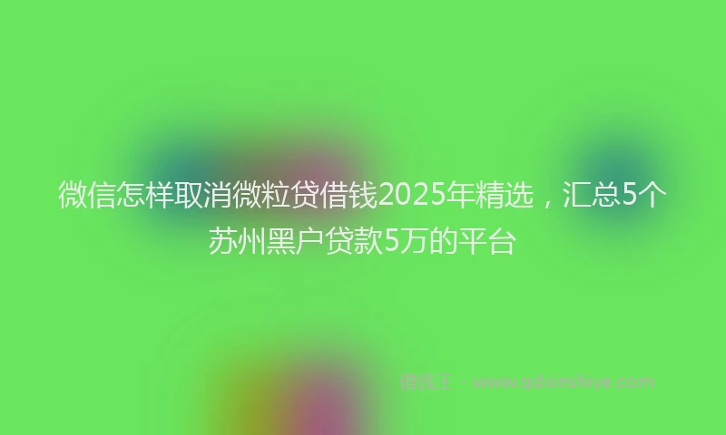 微信怎样取消微粒贷借钱2025年精选，汇总5个苏州黑户贷款5万的平台