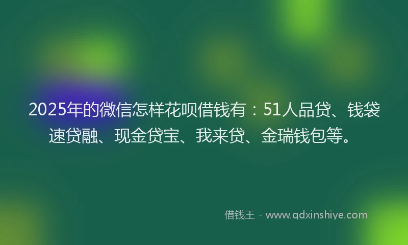 2025年的微信怎样花呗借钱有：51人品贷、钱袋速贷融、现金贷宝、我来贷、金瑞钱包等。