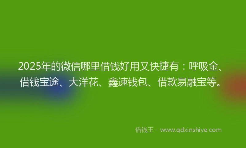 2025年的微信哪里借钱好用又快捷有：呼吸金、借钱宝途、大洋花、鑫速钱包、借款易融宝等。