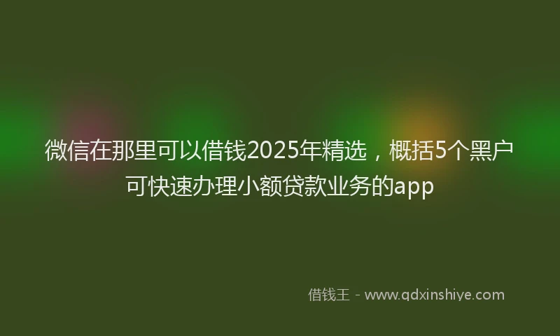 微信在那里可以借钱2025年精选，概括5个黑户可快速办理小额贷款业务的app