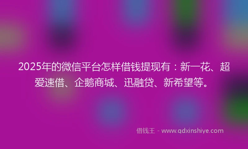 2025年的微信平台怎样借钱提现有：新一花、超爱速借、企鹅商城、迅融贷、新希望等。