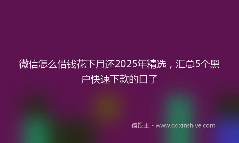 微信怎么借钱花下月还2025年精选，汇总5个黑户快速下款的口子