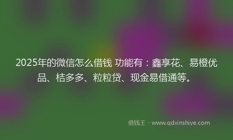 2025年的微信怎么借钱 功能有：鑫享花、易橙优品、桔多多、粒粒贷、现金易借通等。