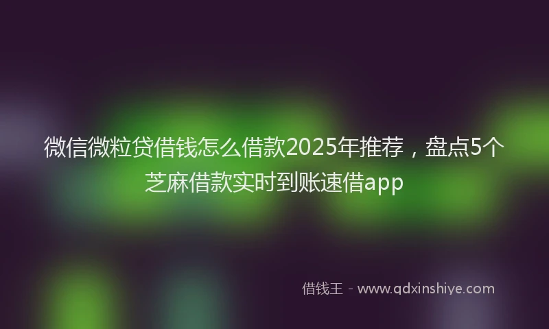 微信微粒贷借钱怎么借款2025年推荐，盘点5个芝麻借款实时到账速借app