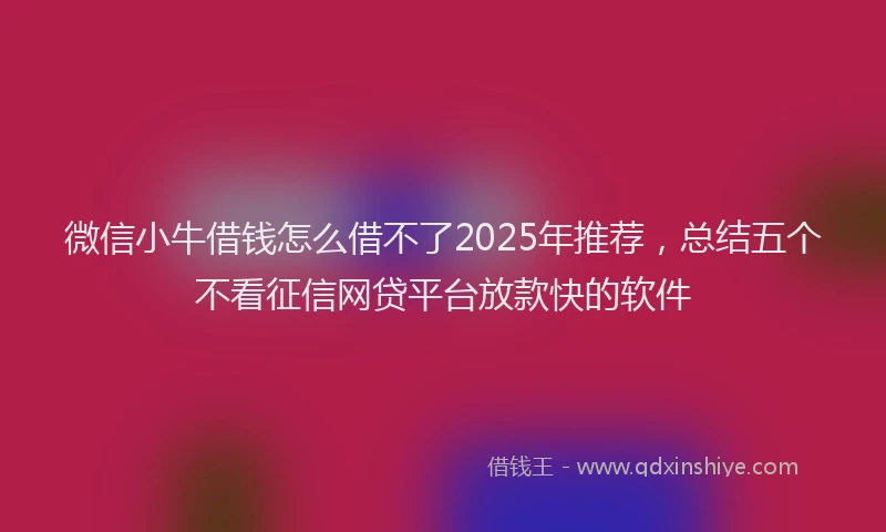 微信小牛借钱怎么借不了2025年推荐，总结五个不看征信网贷平台放款快的软件