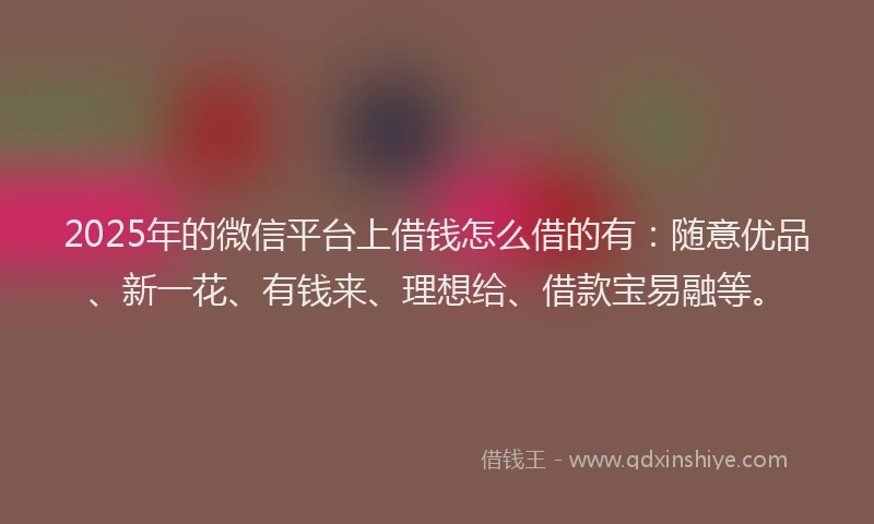2025年的微信平台上借钱怎么借的有：随意优品、新一花、有钱来、理想给、借款宝易融等。
