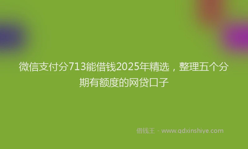 微信支付分713能借钱2025年精选，整理五个分期有额度的网贷口子