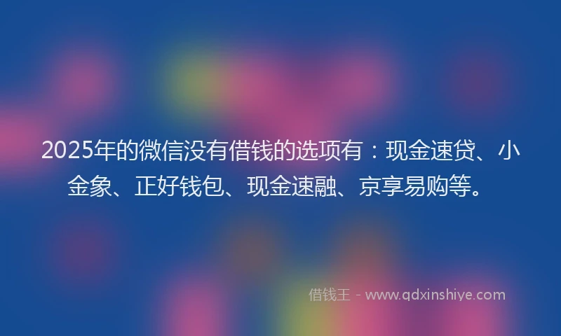 2025年的微信没有借钱的选项有：现金速贷、小金象、正好钱包、现金速融、京享易购等。