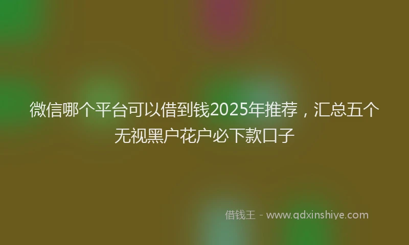 微信哪个平台可以借到钱2025年推荐，汇总五个无视黑户花户必下款口子