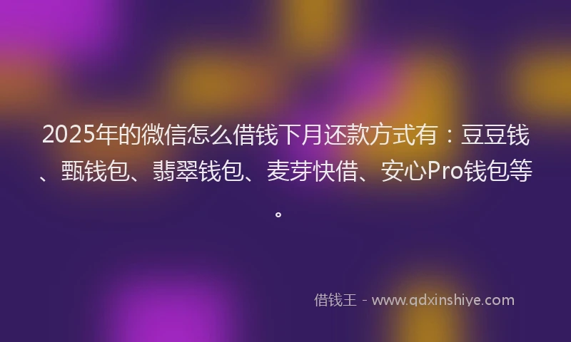 2025年的微信怎么借钱下月还款方式有：豆豆钱、甄钱包、翡翠钱包、麦芽快借、安心Pro钱包等。