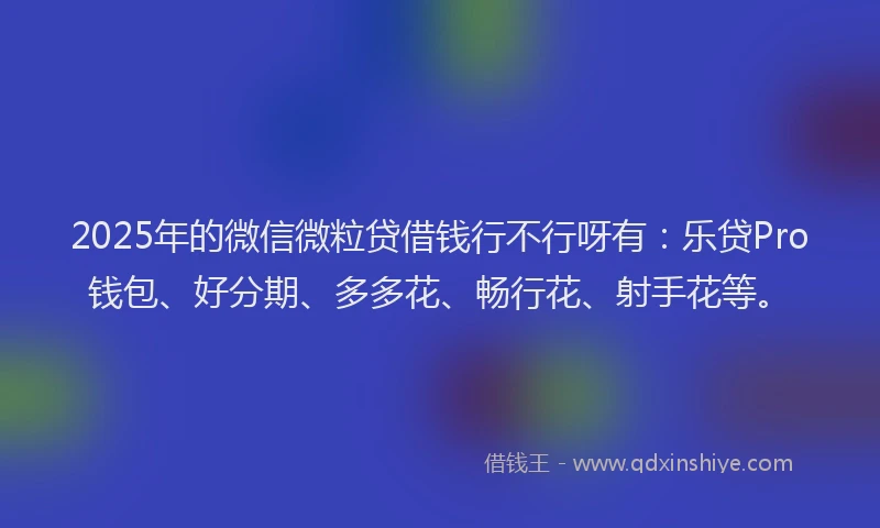 2025年的微信微粒贷借钱行不行呀有：乐贷Pro钱包、好分期、多多花、畅行花、射手花等。