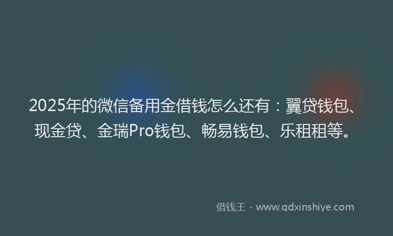 2025年的微信备用金借钱怎么还有：翼贷钱包、现金贷、金瑞Pro钱包、畅易钱包、乐租租等。