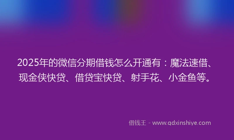 2025年的微信分期借钱怎么开通有：魔法速借、现金侠快贷、借贷宝快贷、射手花、小金鱼等。